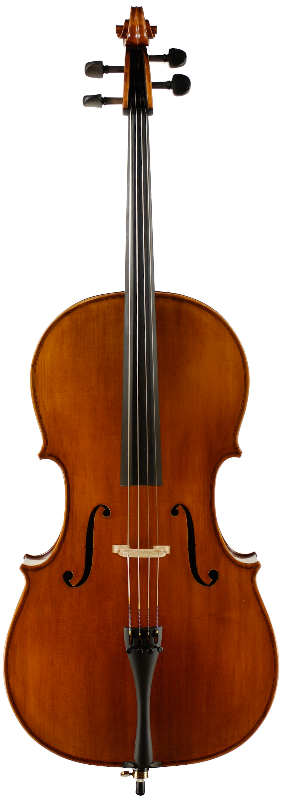 Samuel Shen Model 180 Cello | J.R. Judd Violins