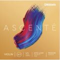 Ascenté