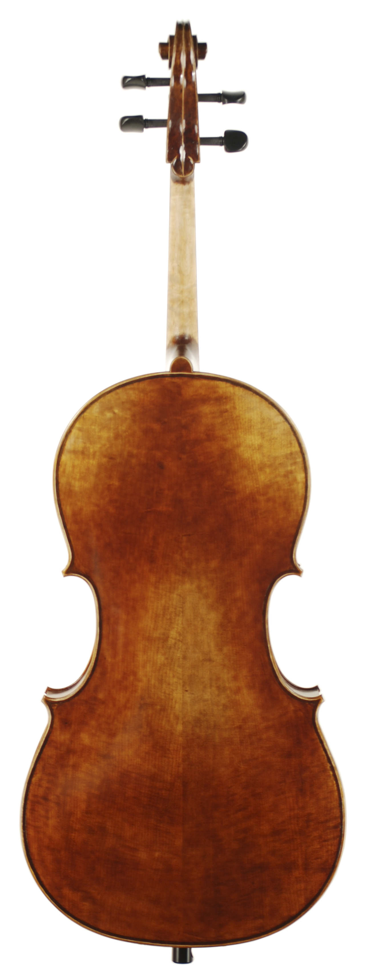 Sacconi Cello SKU# 39654 VC Back