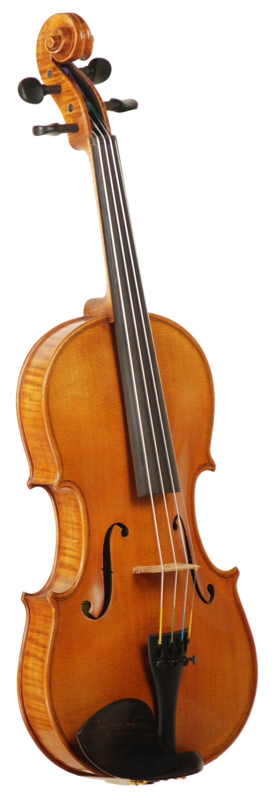 Samuel Model 300 | J.R. Violins