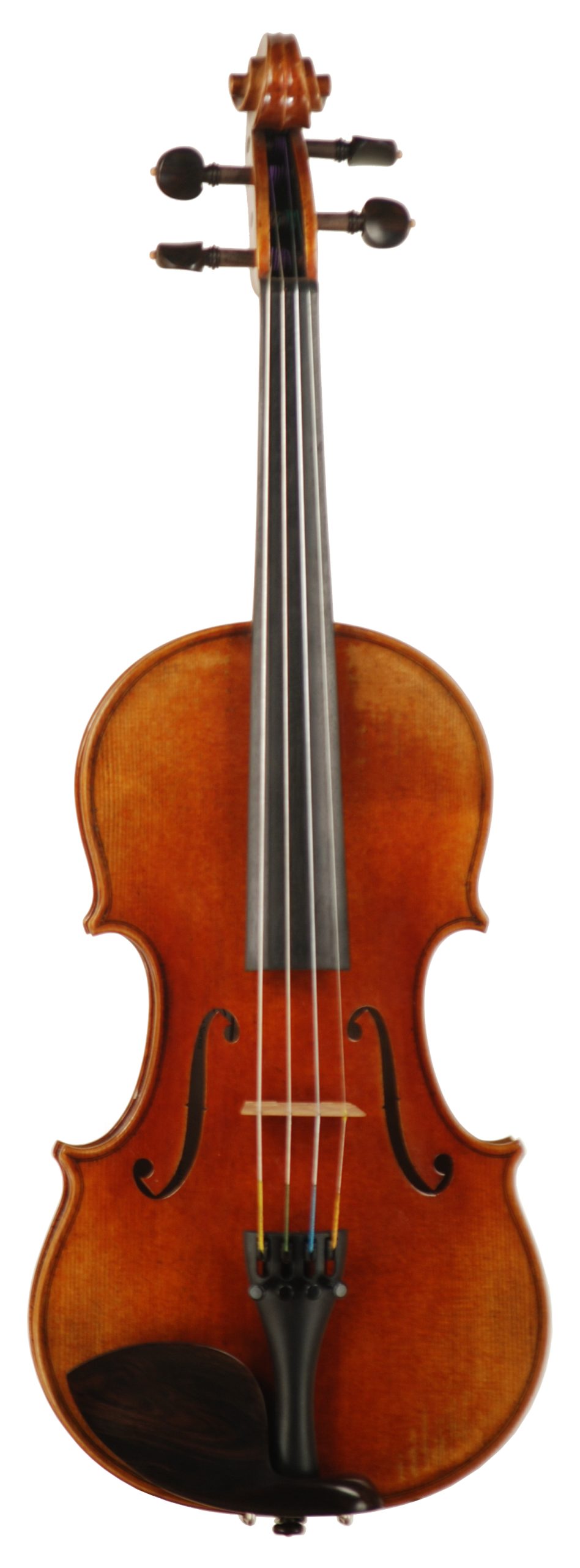 Rosa Wortham Concert Series Model 300 Violin SKU# 55842 VN Top