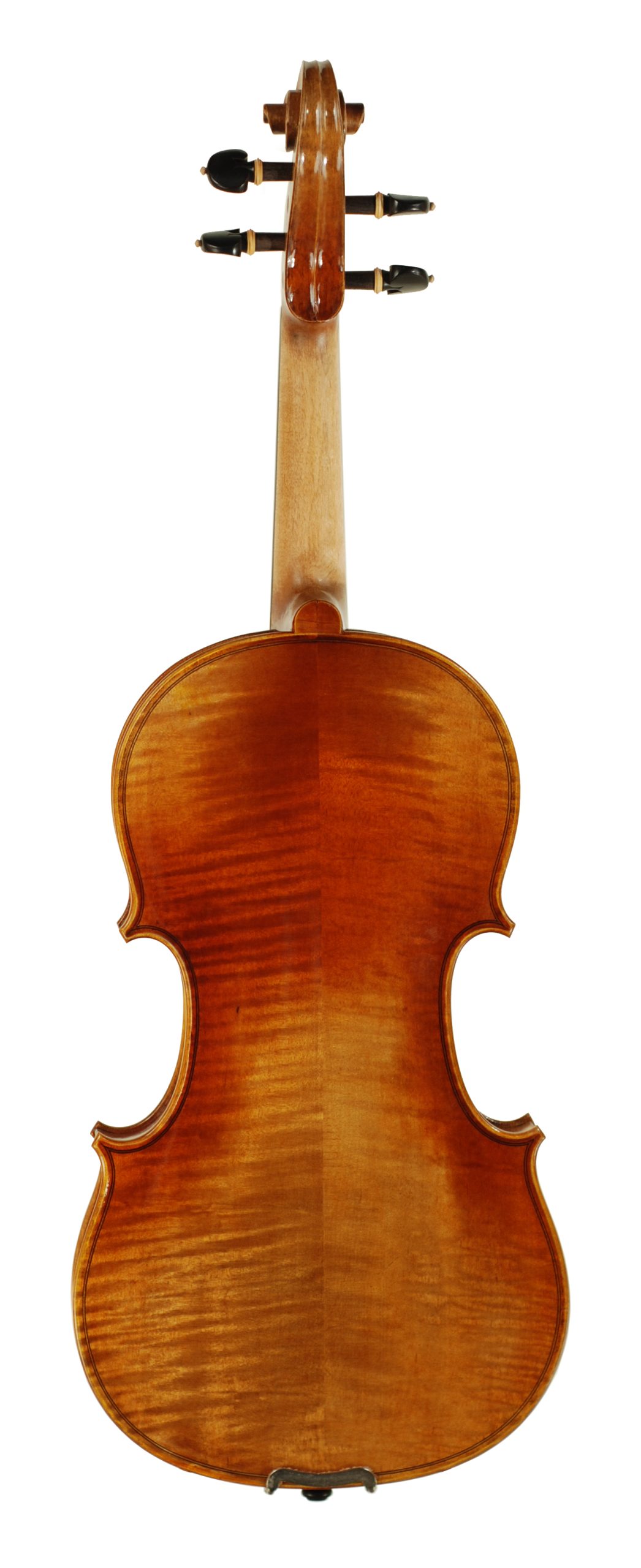 Carolina Series Violin SKU# 72182 VN Back