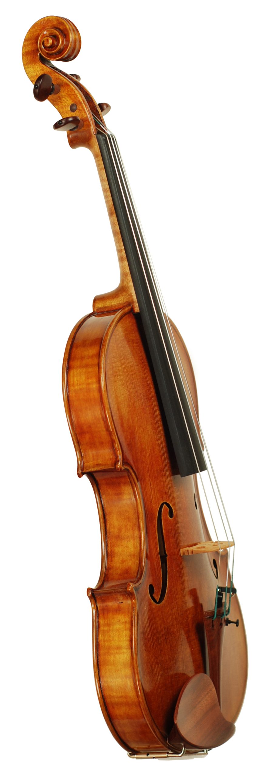 ROSA WORTHAM SUPERIOR - Model 800 Violin SKU# 73518 VN Angle