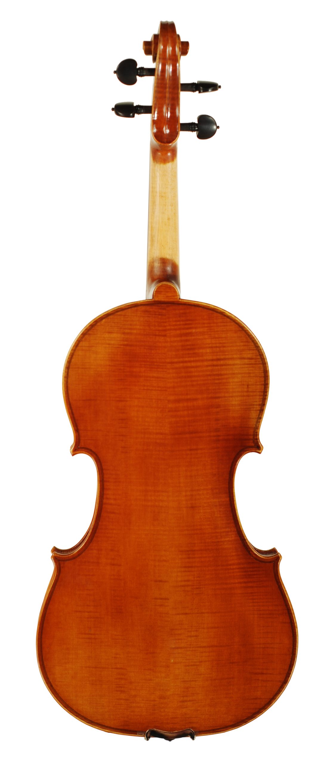 Carolina Series 16 Viola SKU# 75464 VA Back