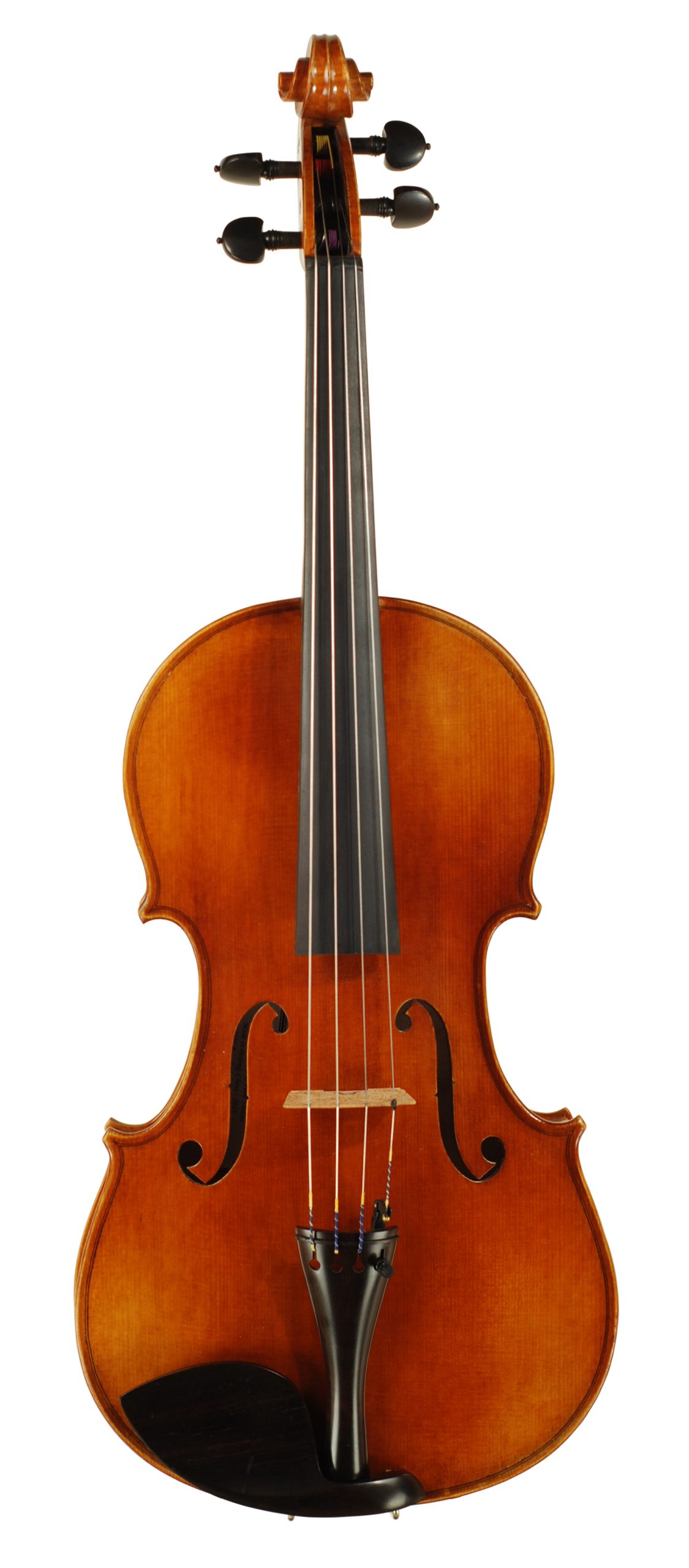 Carolina Series 16 Viola SKU# 75464 VA Top