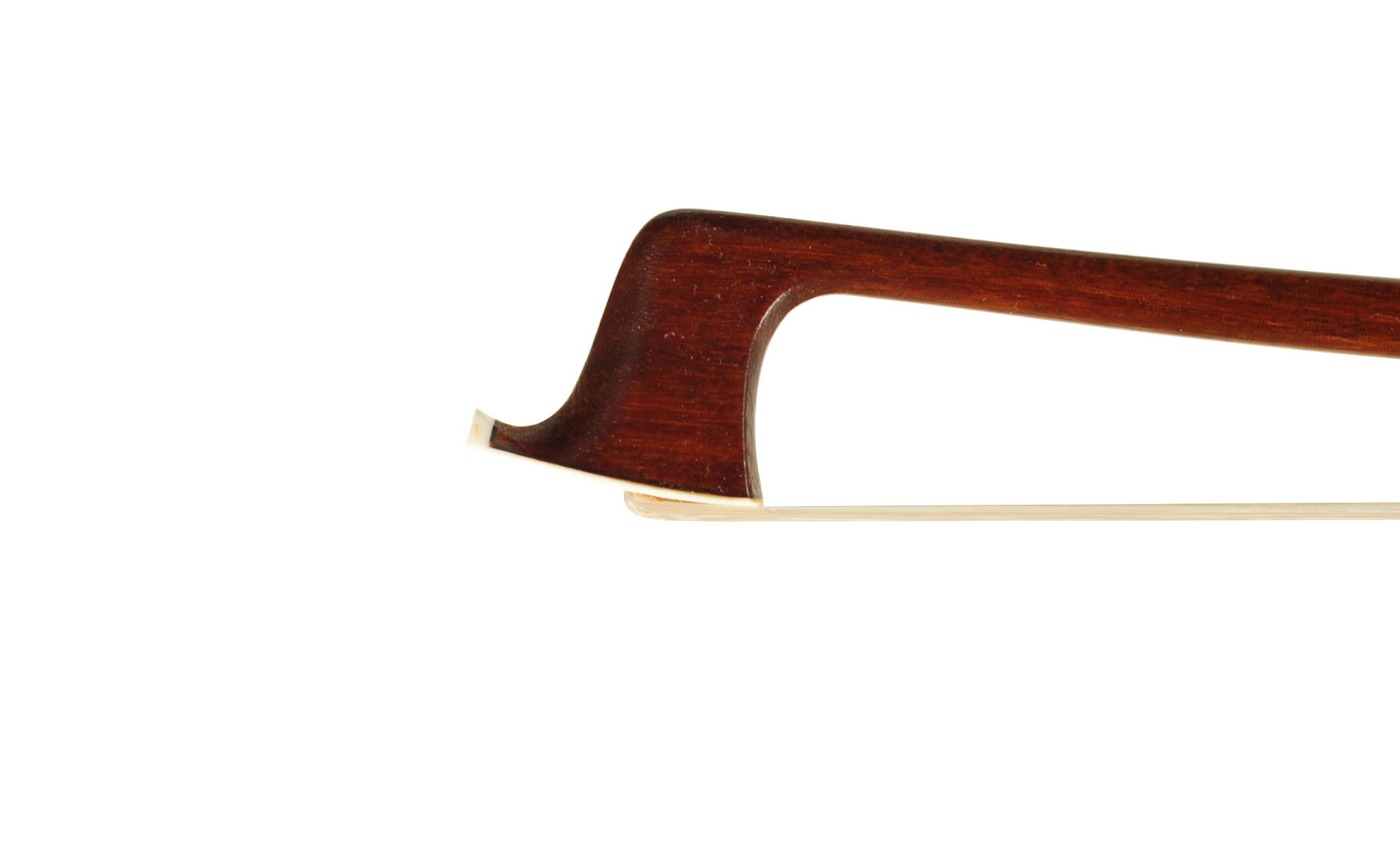 G Werner Pernambuco Violin Bow Germany 2025 SKU# 75616 VN Bow Tip