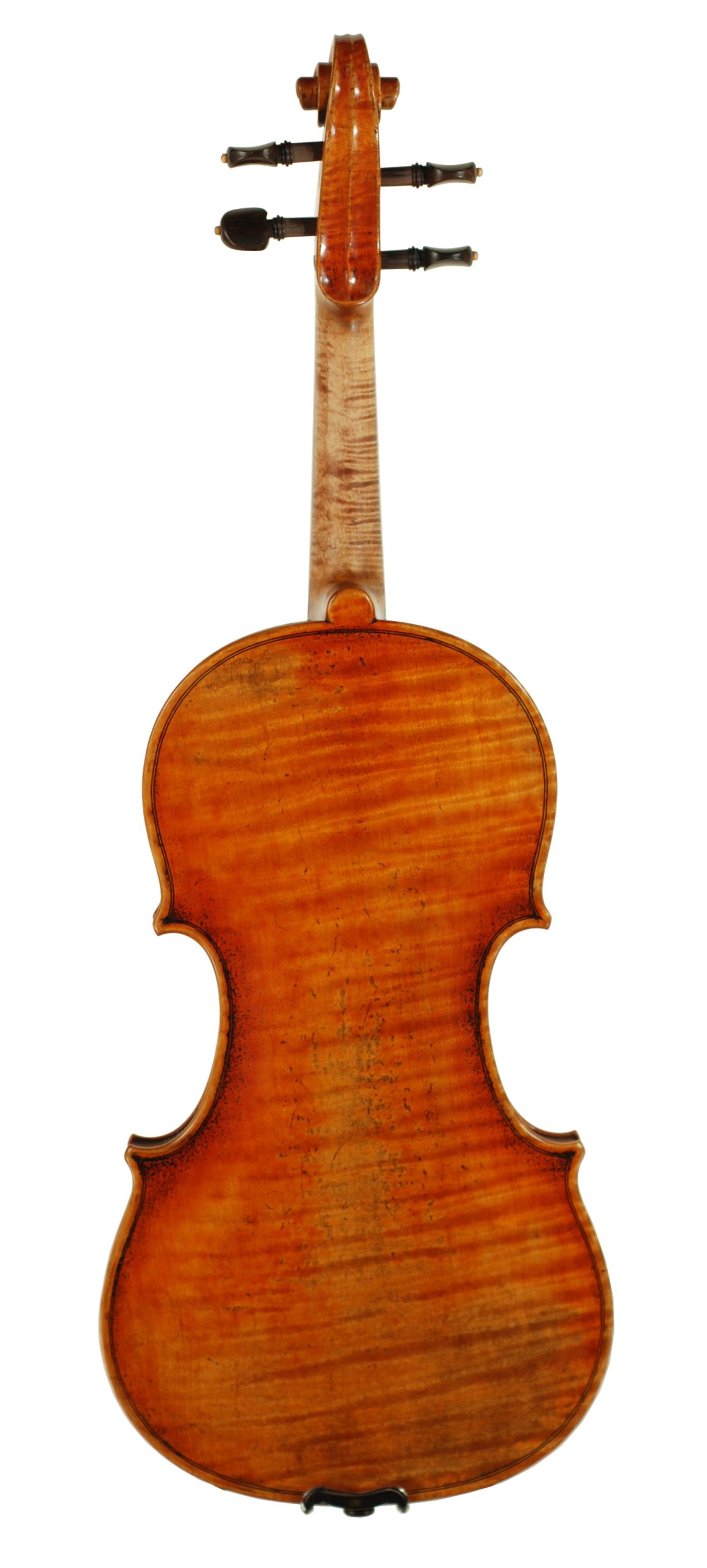 ROSA WORTHAM SUPERIOR - Model 800 Violin 2025 SKU# 75434 VN Back