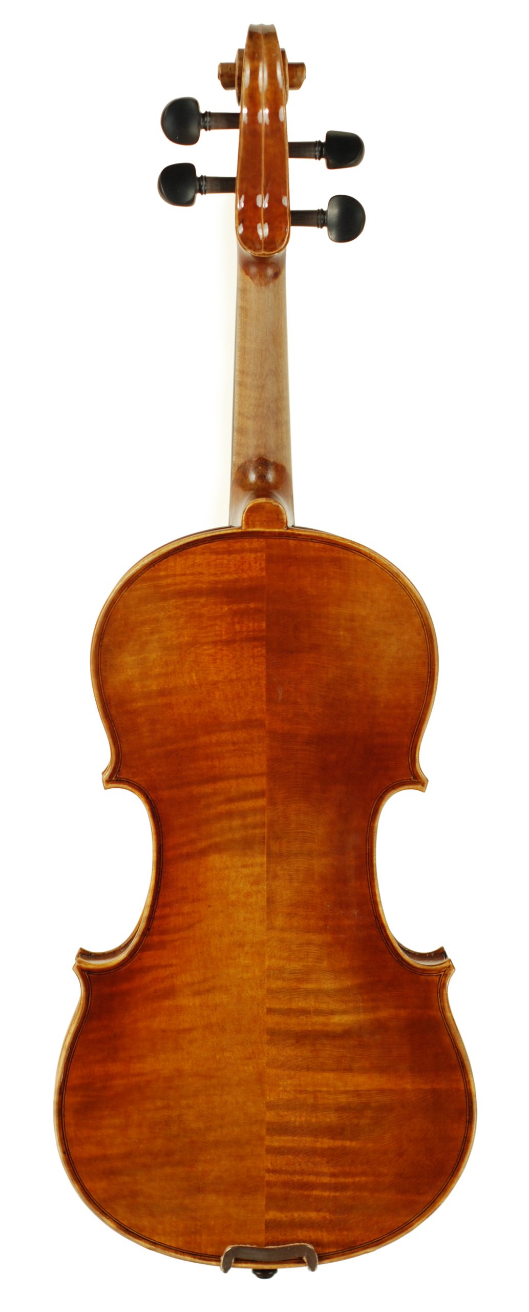 Carolina Series Violin SKU# 76276 VN Back