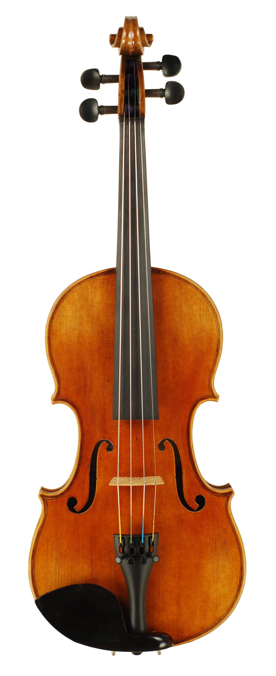 Carolina Series Violin SKU# 76276 VN Top