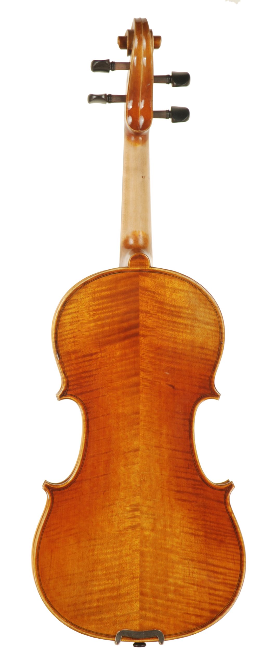Carolina Series Violin SKU# 77649 VN Back