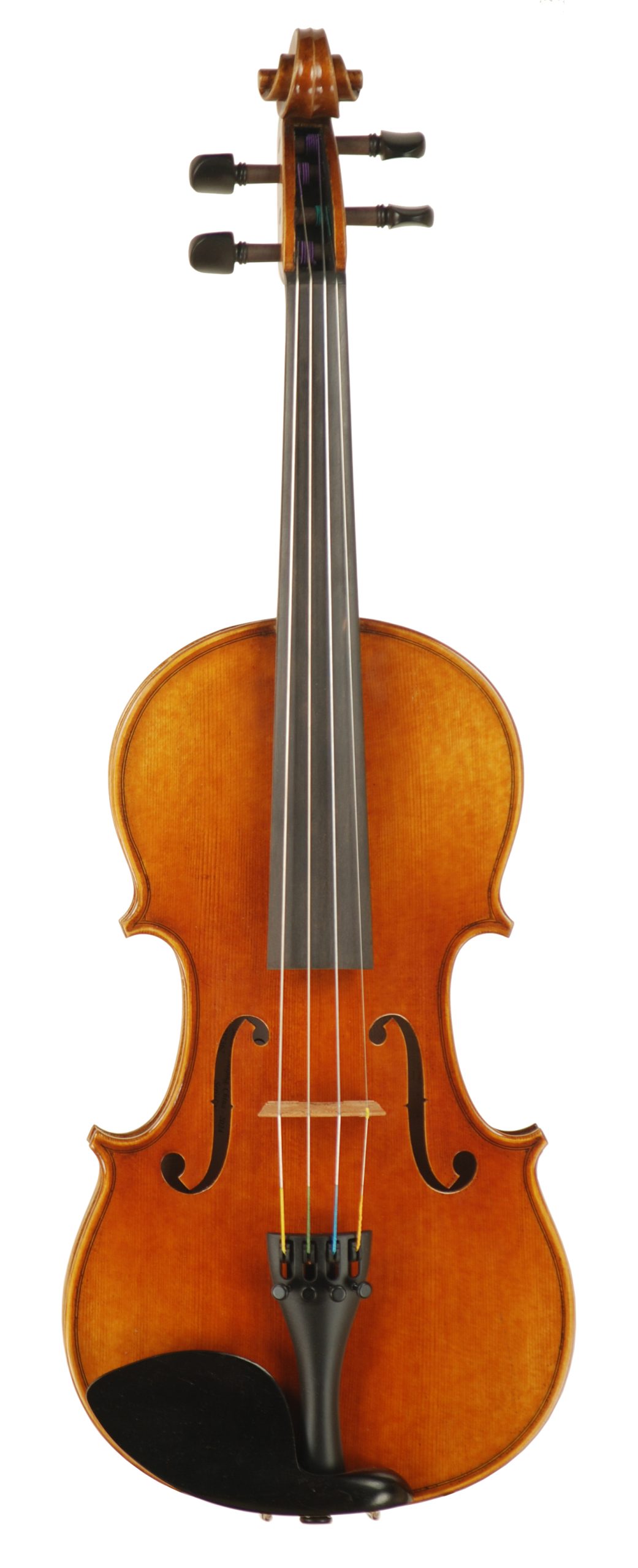 Carolina Series Violin SKU# 77649 VN Top