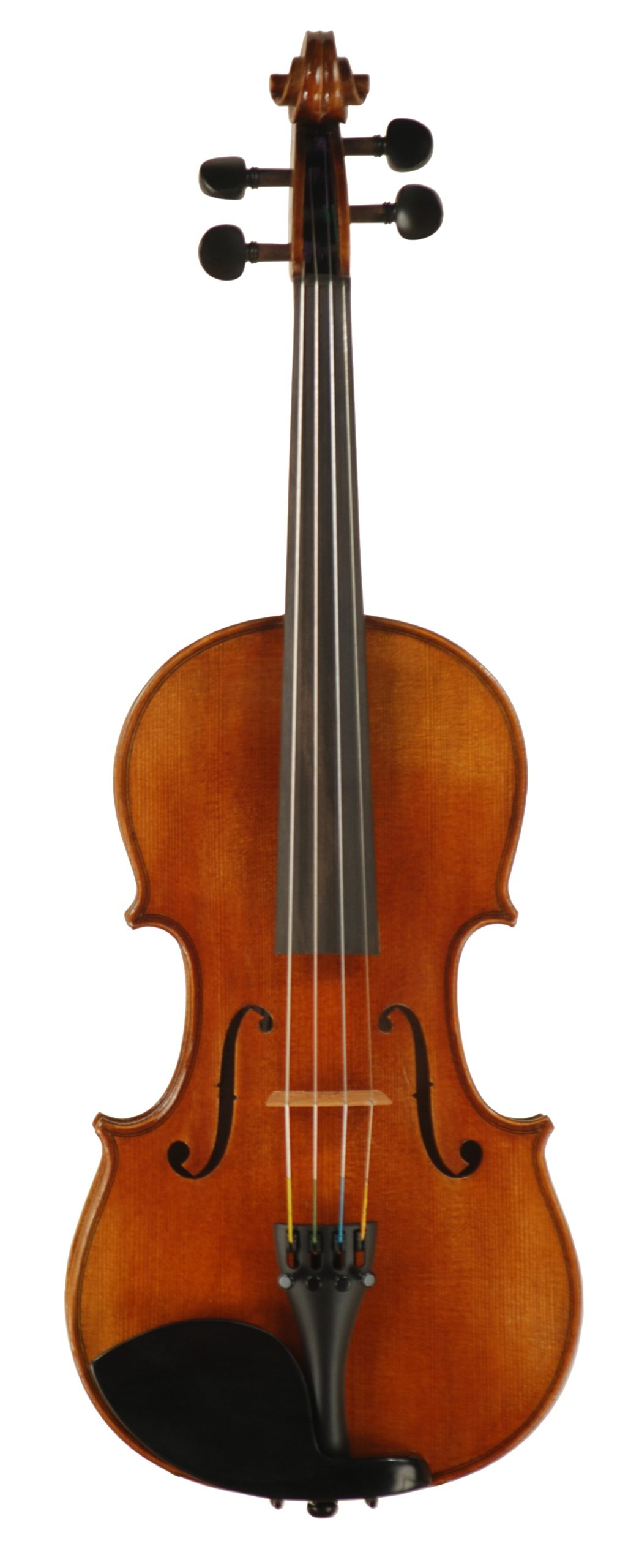 Rosa Wortham Concert Series Model 300 Violin SKU# 38152 VN Top